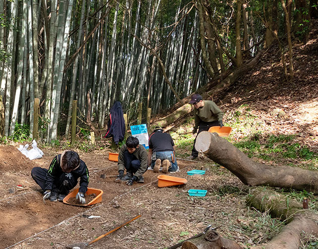 歴史・地理学プログラム